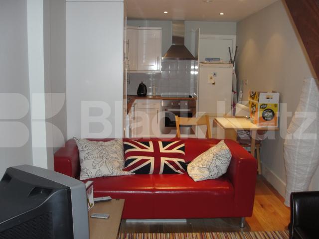 			NEW INSTRUCTION (Includes internet & water rates). , 1 Bedroom, 1 bath, 1 reception Maisonette			 Mount Emphraim Lane, Streatham Hill